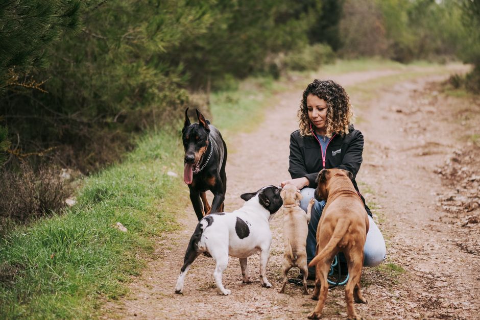 Paseadora agachada junto a un perro en el parque