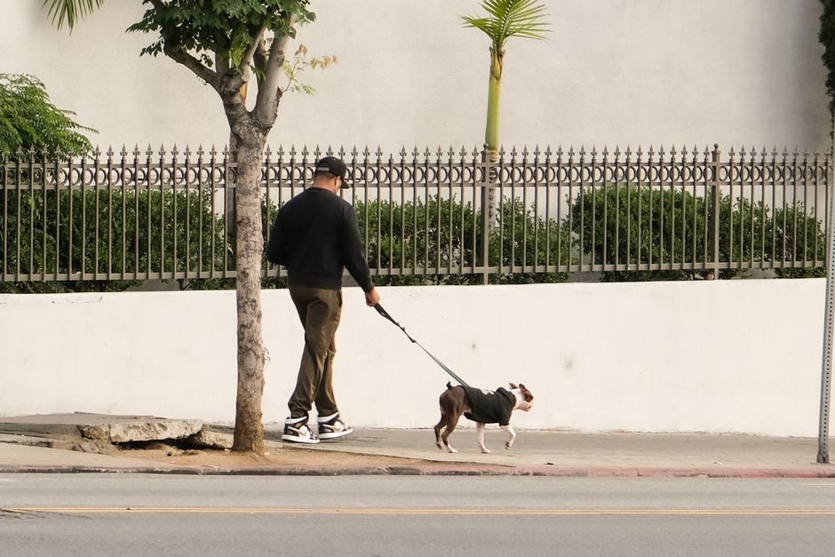 Paseo por Echo Park